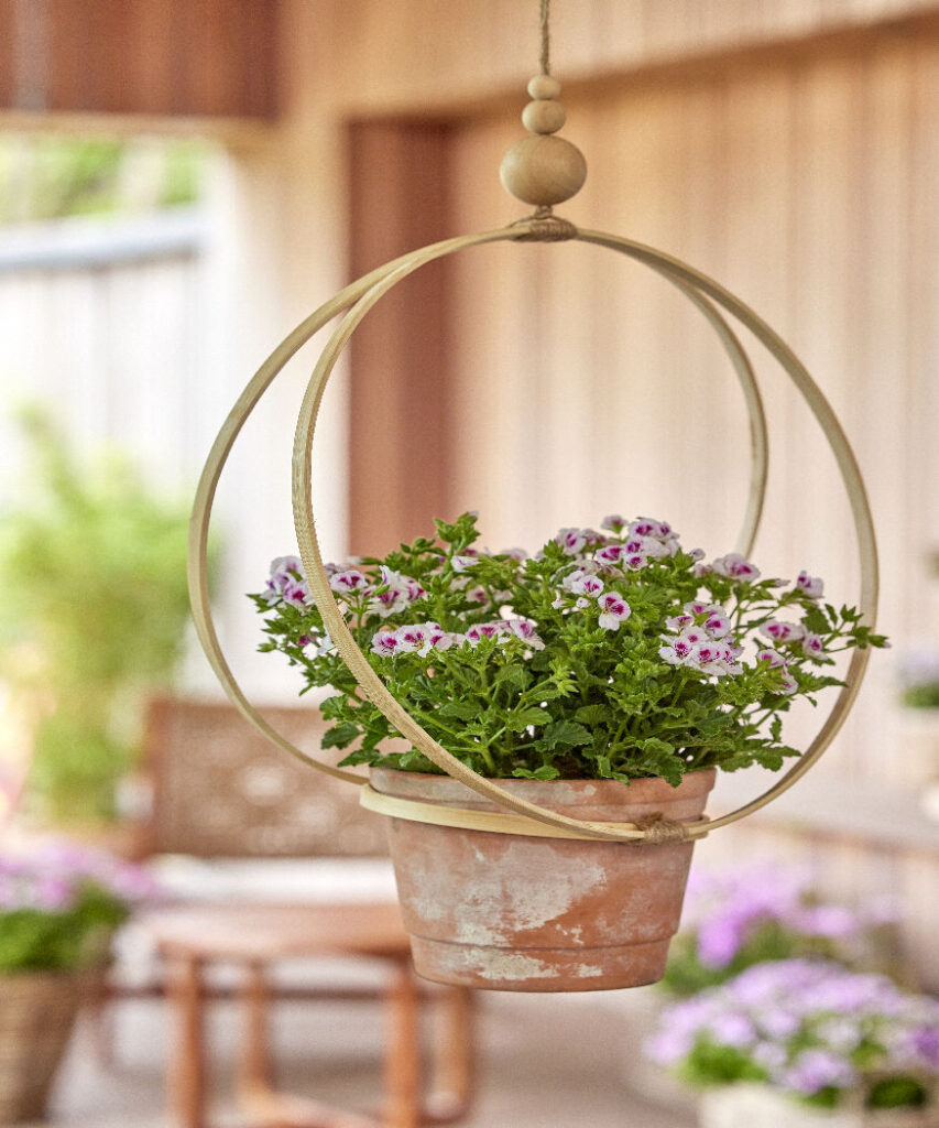 Boho Hanging Hoop Planter with Geranium