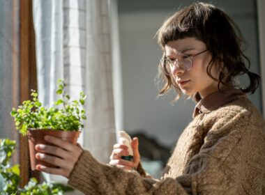 Millennial woman misting houseplants at home, using plant spray for bugs