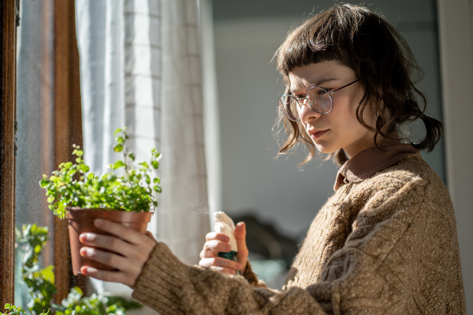 Millennial woman misting houseplants at home, using plant spray for bugs