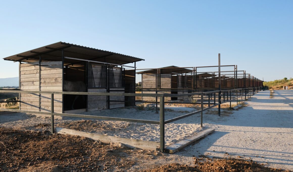 View of a ranch with horses.