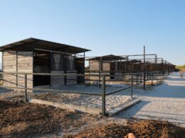 View of a ranch with horses.