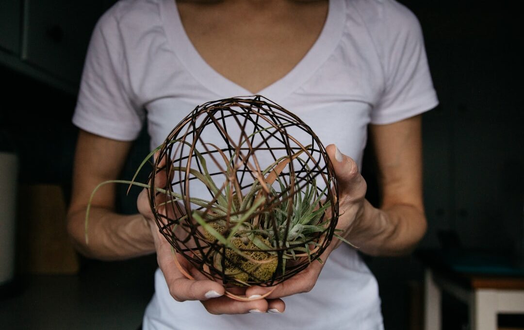 woman in white crew neck t-shirt holding green plant