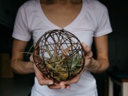 woman in white crew neck t-shirt holding green plant