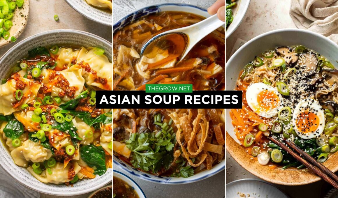 Asian Soup Recipes