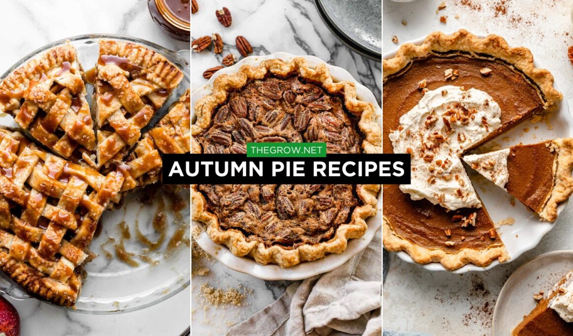 Autumn pie Recipes