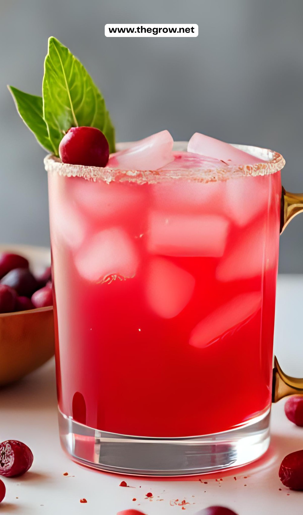 Cranberry Moscow Mule