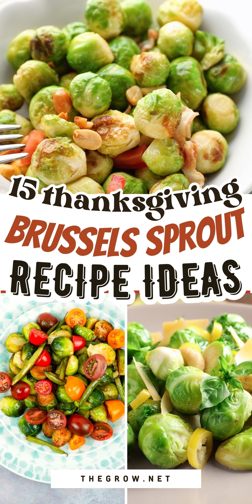 Easy Tasty Thanksgiving Brussels Sprout Recipes-pin
