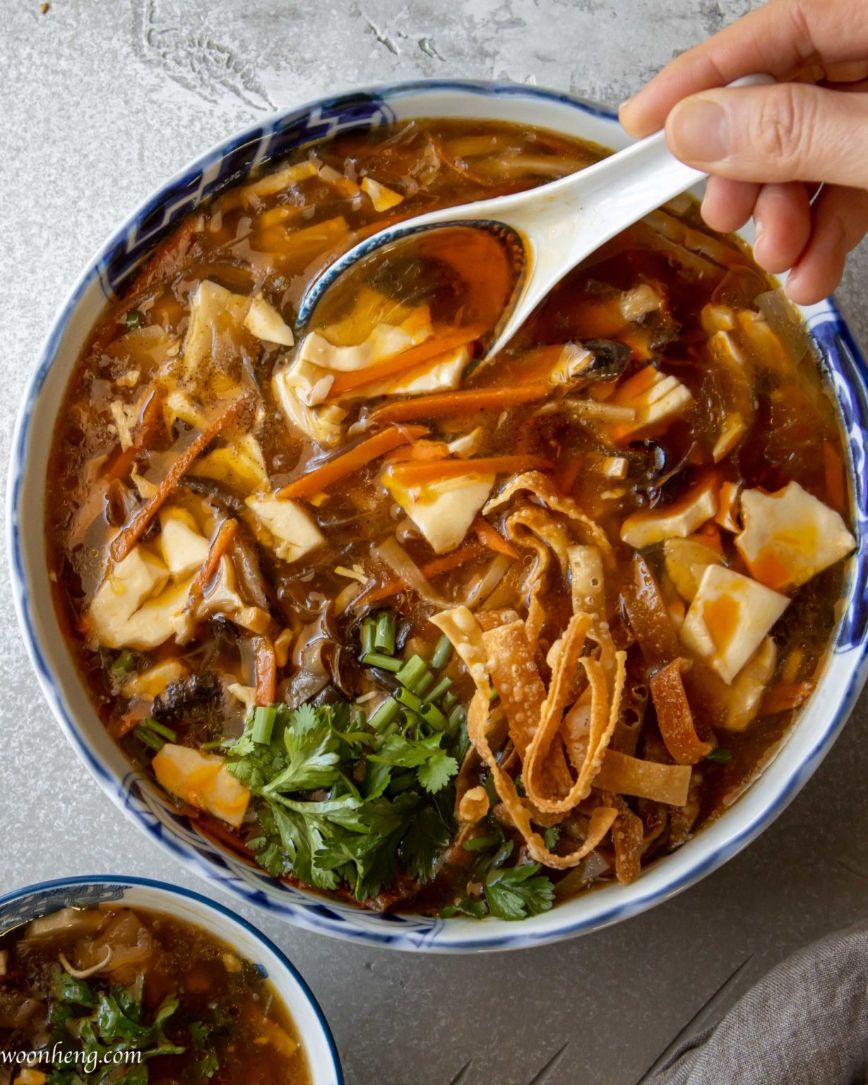 Hot and Sour Soup