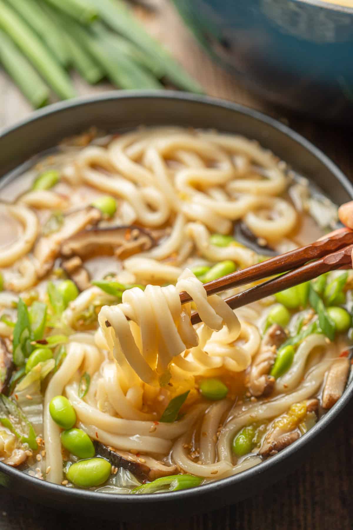 Japanese Udon Soup