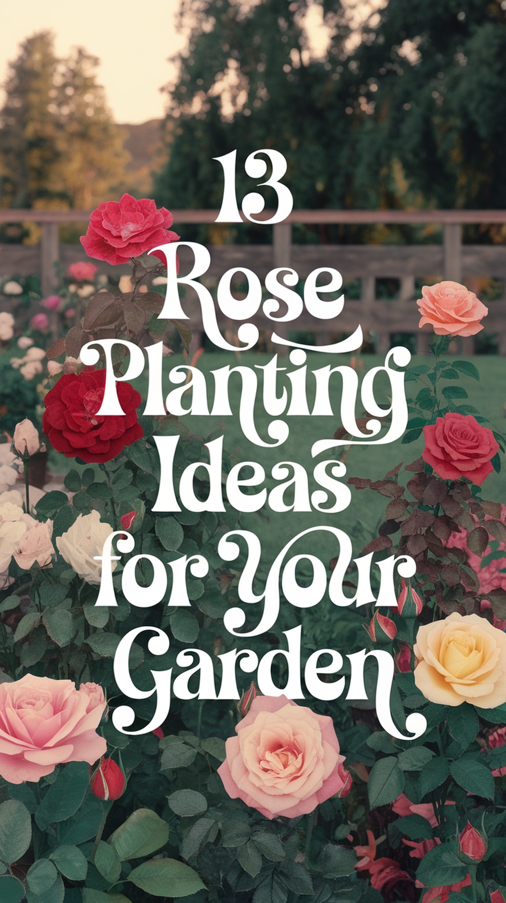 Rose Planting Ideas