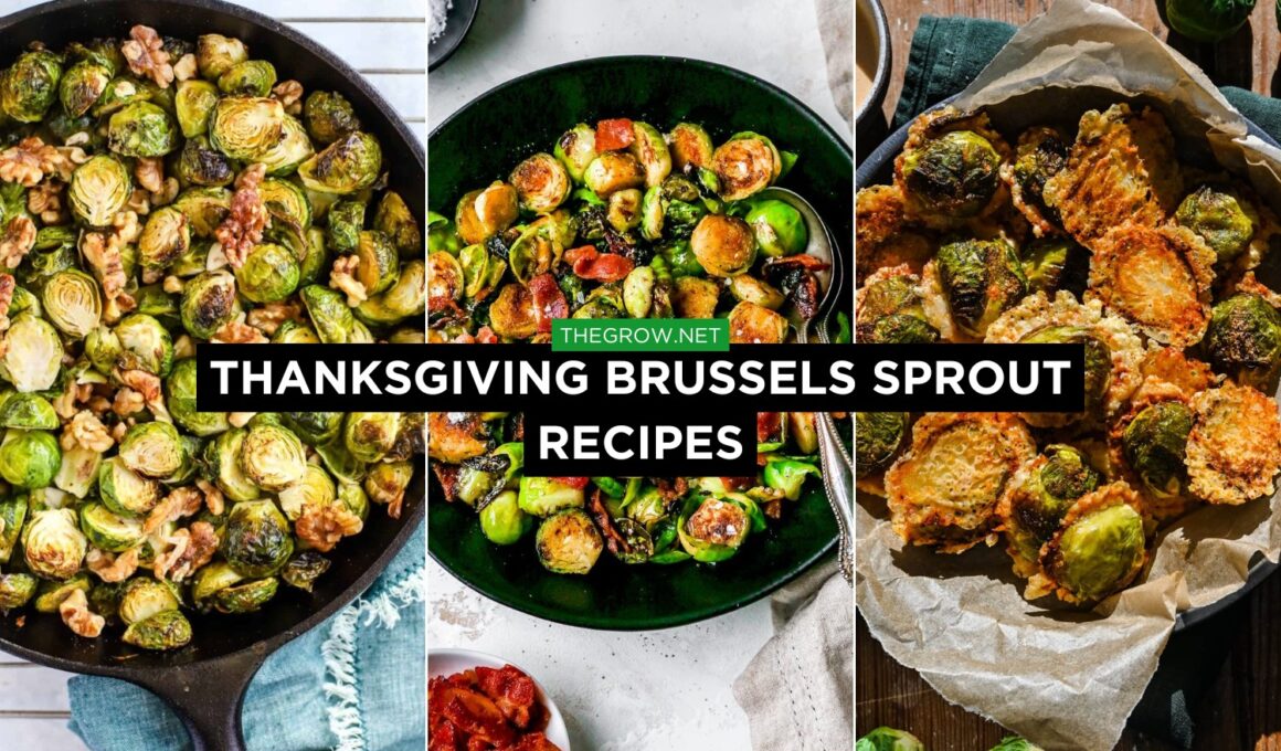 Thanksgiving Brussels Sprout Recipes