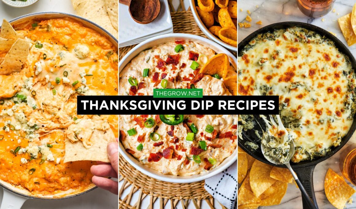 Thanksgiving dip Recipes