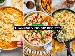 Thanksgiving dip Recipes