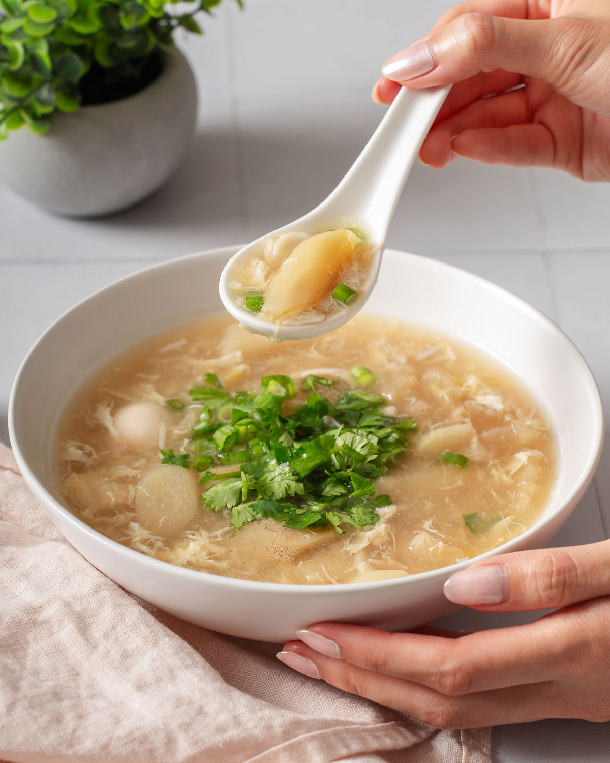 Vietnamese Crab and Asparagus Soup