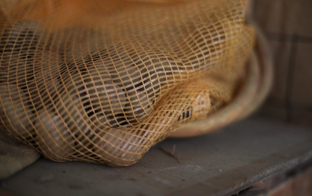 Several onions in a mesh bag on a shelf