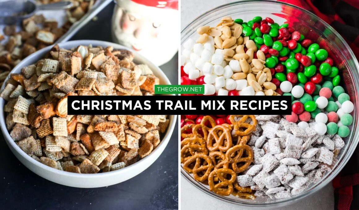 Christmas Trail Mix Recipes