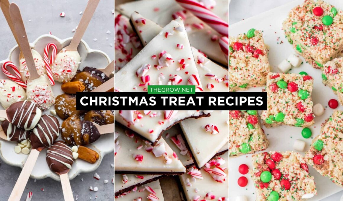 Christmas Treat Recipes