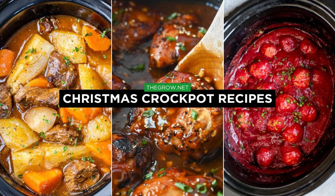 Christmas crockpot Recipes