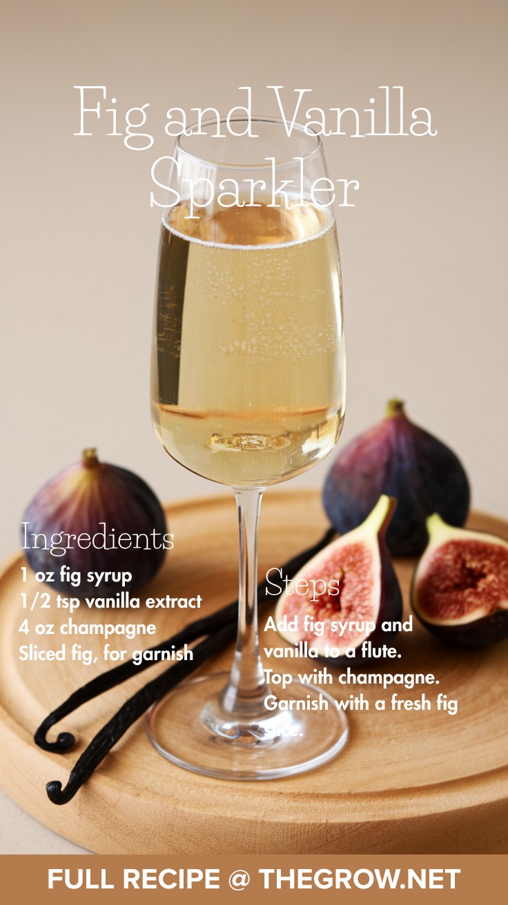 Fig and Vanilla Sparkler