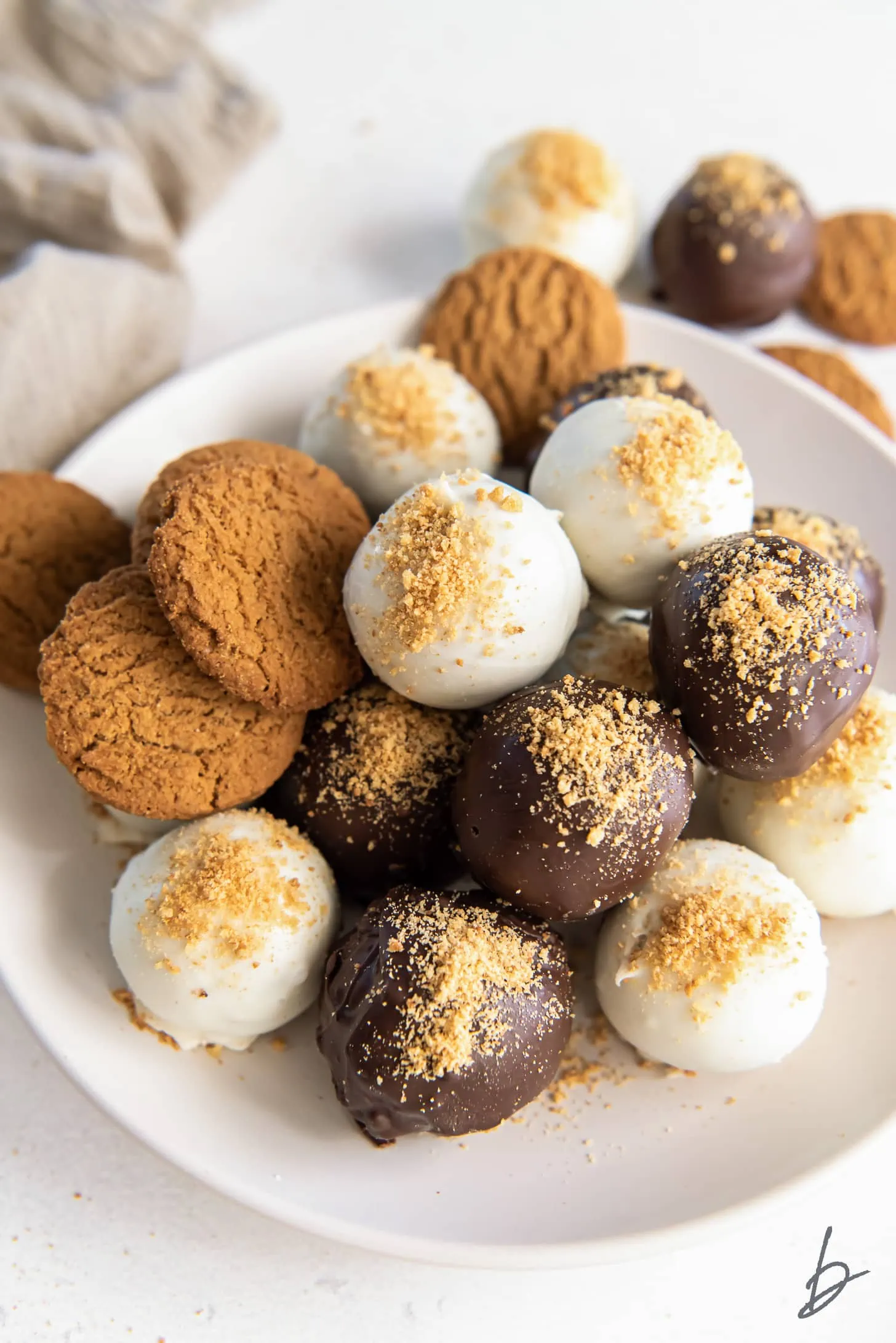 Gingerbread Truffles