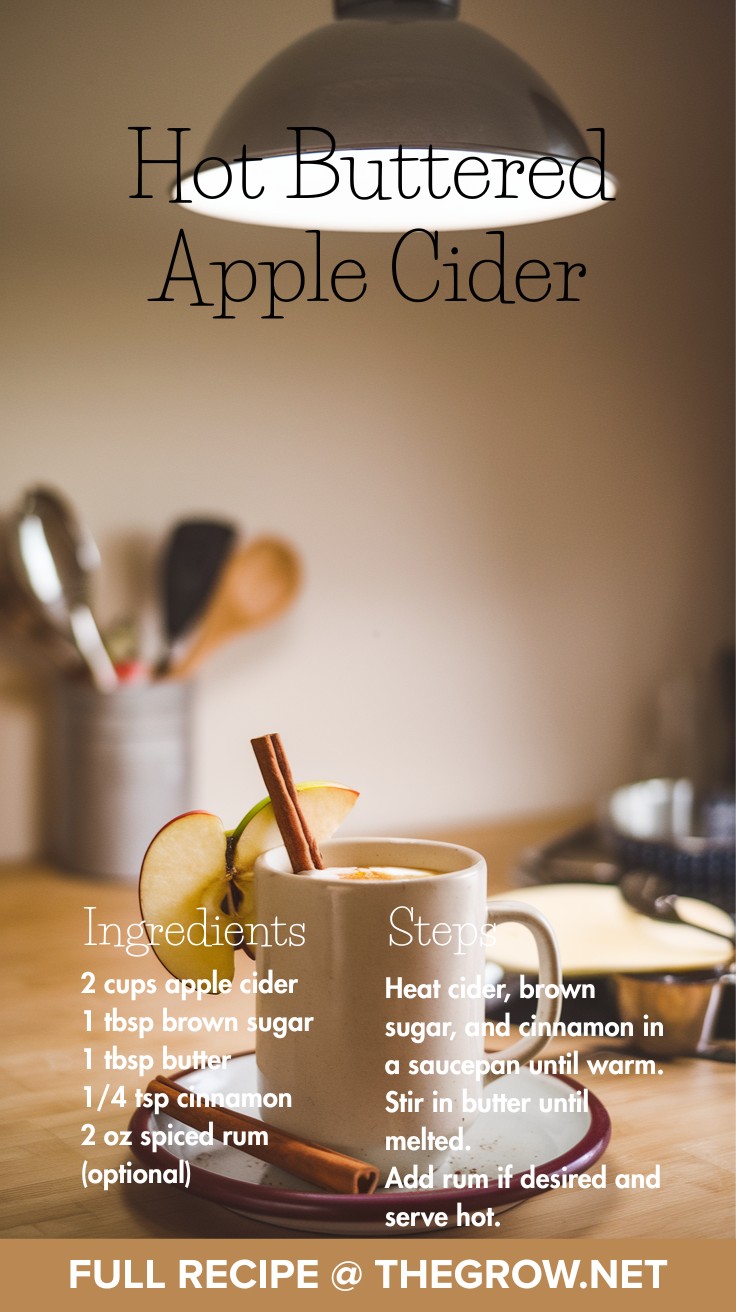 Hot Buttered Apple Cider