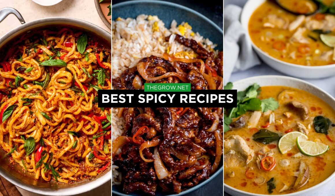 best spicy Recipes