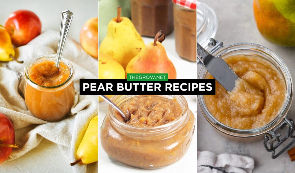 pear Butter Recipes