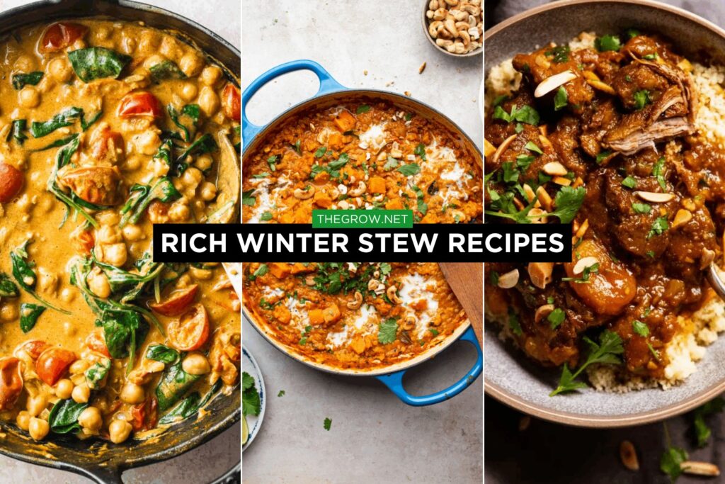Rich Winter Stew Recipes
