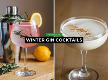 Winter Gin Cocktails