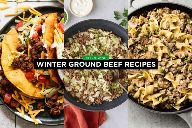 Winter Ground Beef Recipes