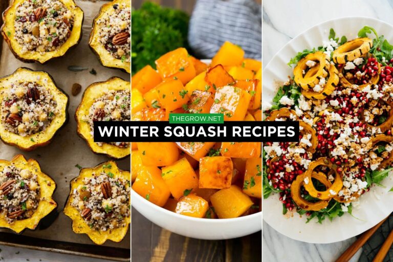 Winter Squash Recipes