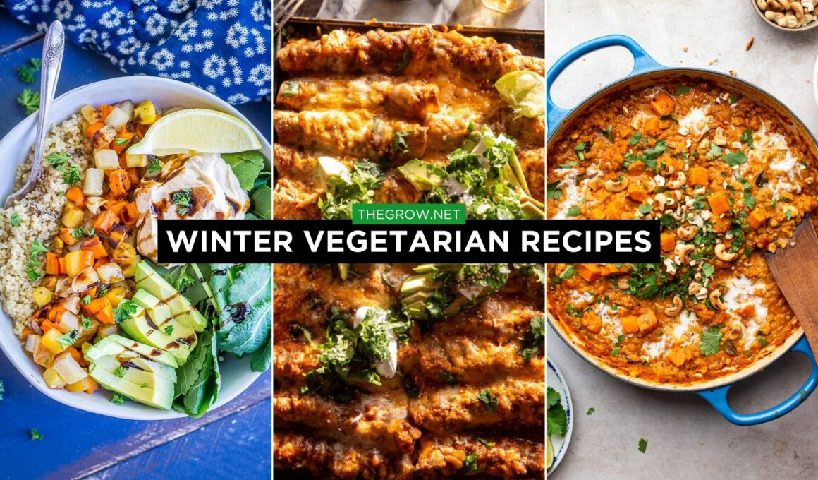 Winter Vegetarian Recipes