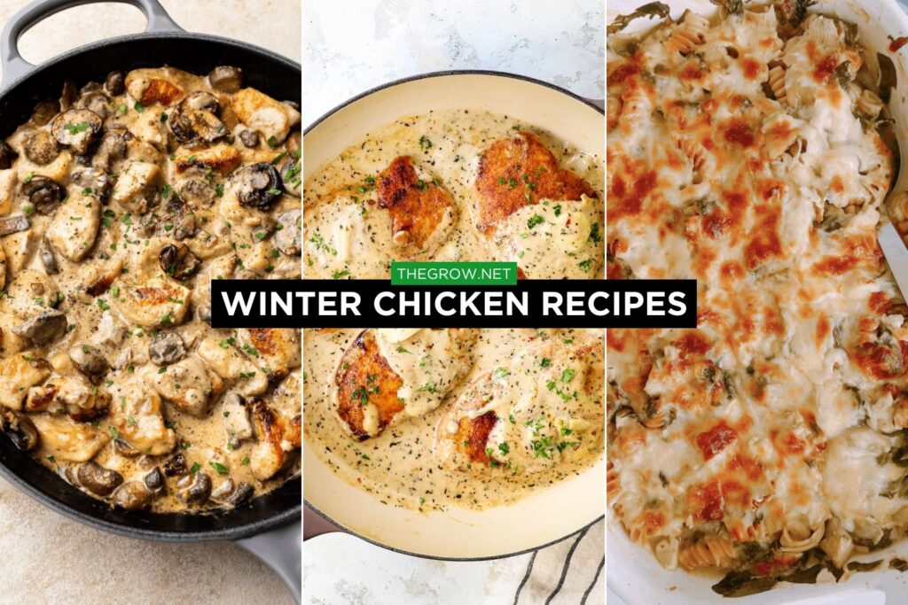Winter chicken Recipes