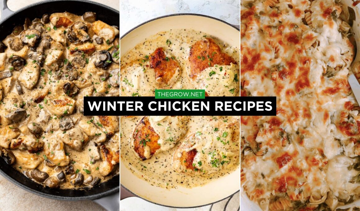 Winter chicken Recipes