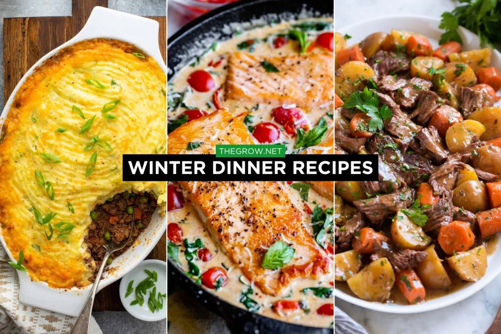 Winter dinner Recipes