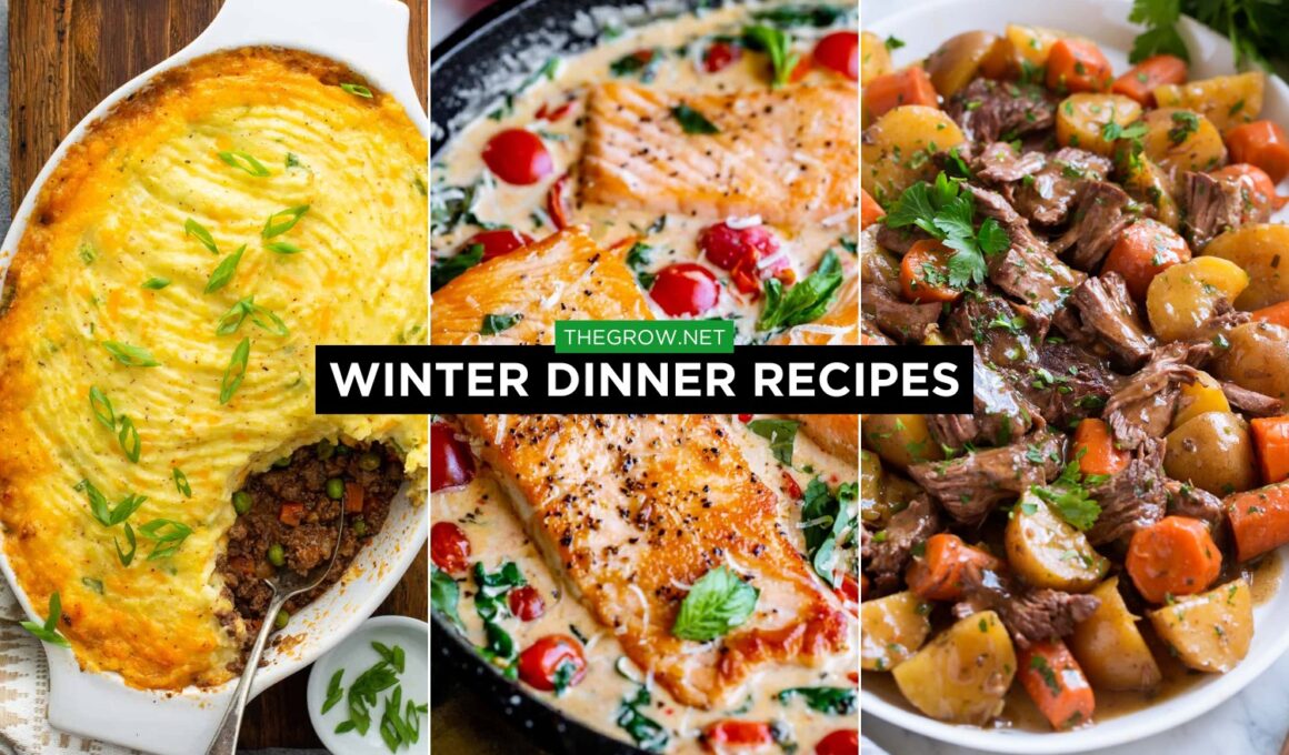 Winter dinner Recipes
