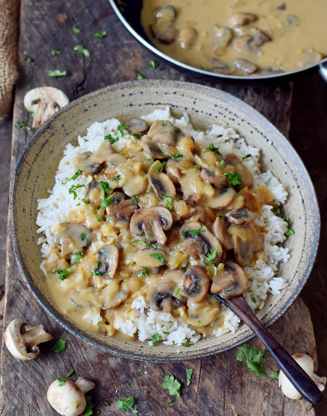 Mushroom Stroganoff