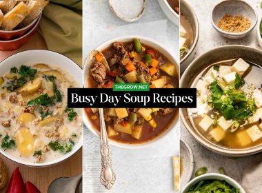 Busy Day Soup Recipes That Save Time