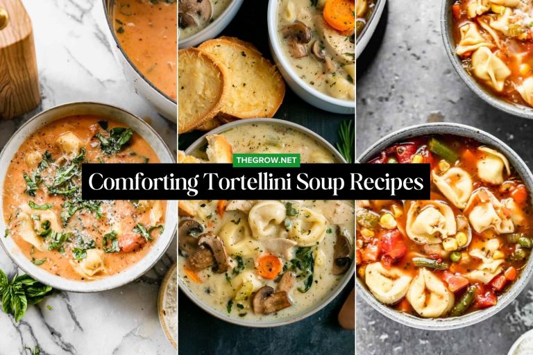 Comforting Tortellini Soup Recipes