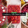 Cranberry Jello Salad Recipes