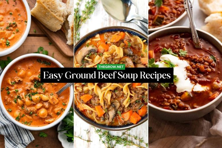 Easy Ground Beef Soup Recipes