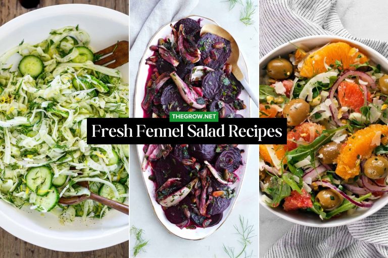 Fresh Fennel Salad Recipes