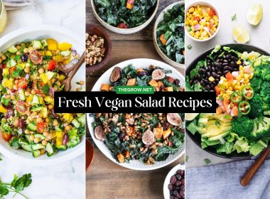 Fresh Vegan Salad Recipes