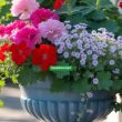 Gorgeous Spring Planter Ideas