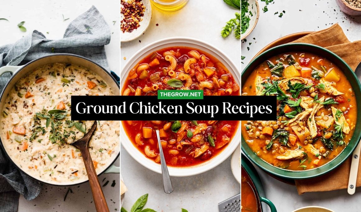 Ground Chicken Soup Recipes for Dinner