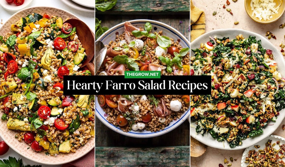 Hearty Farro Salad Recipes