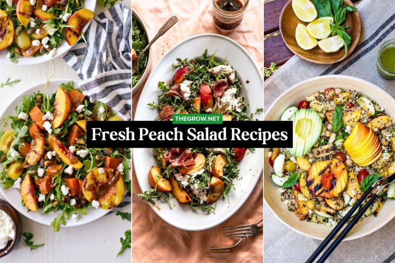 Sweet and Fresh Peach Salad Recipes
