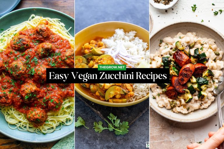 Easy Vegan Zucchini Recipes
