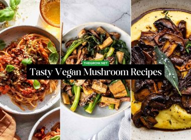 Tasty Vegan Mushroom Recipes