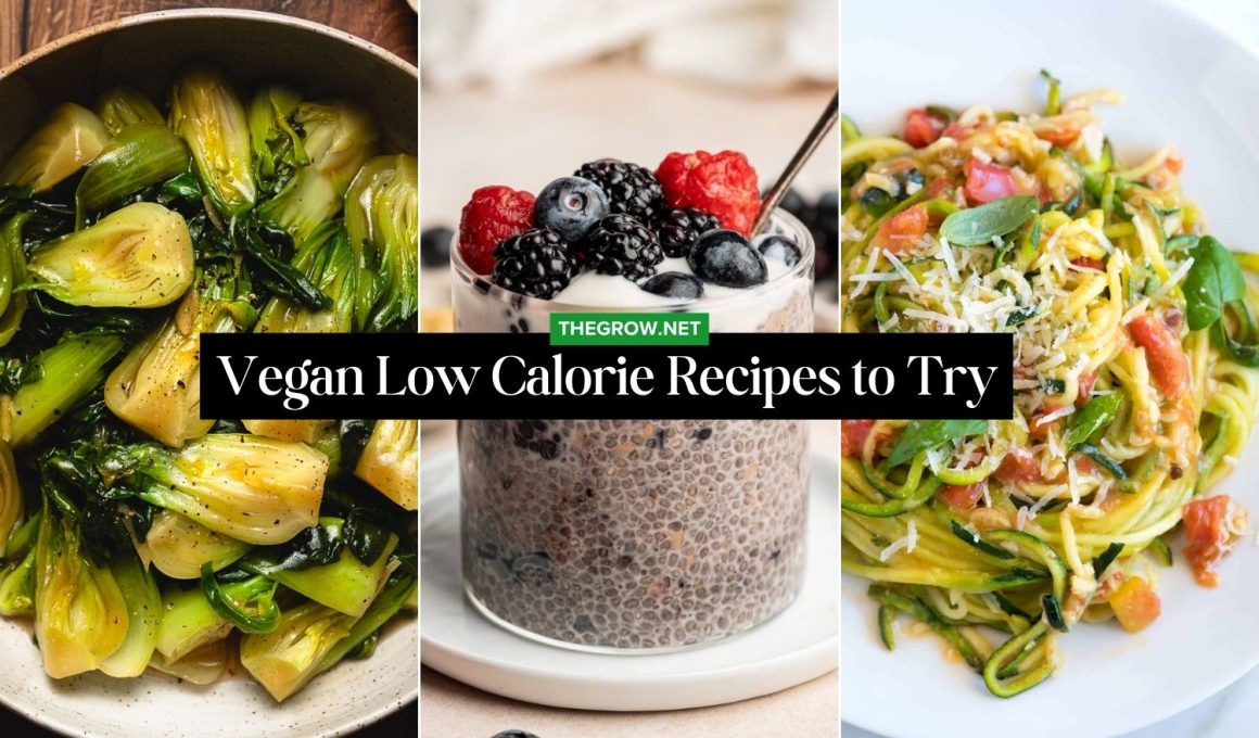Vegan Low Calorie Recipes to Try